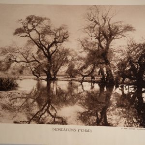photo Heliogravure 1930 Paysage Afrique Equatoriale TCHAD PHOTO 16X25cm