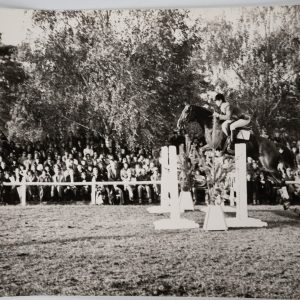 PHOTO Argentique	France	Equitation cheval saut d'obstacles	18X24cm	1970