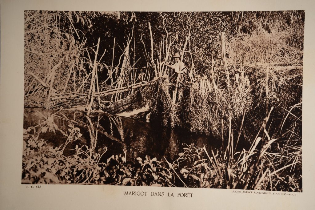 photo Heliogravure 1930 Paysage Afrique Equatoriale MARAIS PHOTO 16X25cm