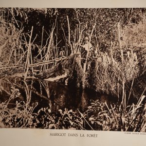 photo Heliogravure 1930 Paysage Afrique Equatoriale MARAIS PHOTO 16X25cm