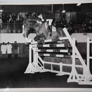 PHOTO Argentique	France	Equitation cheval saut d'obstacles	18X24cm	1970