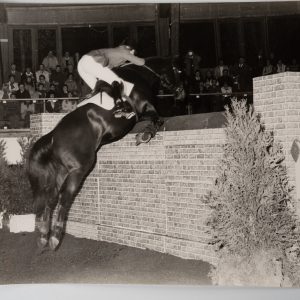 PHOTO Argentique	France	Equitation cheval saut d'obstacles	18X24cm	1970