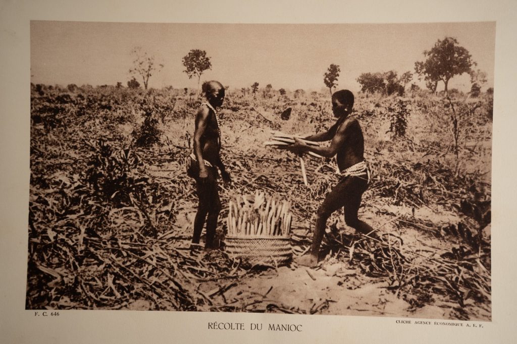 photo Heliogravure 1930 Paysage Afrique Equatoriale RECOLTE PHOTO 16X25cm