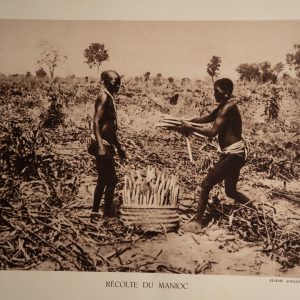 photo Heliogravure 1930 Paysage Afrique Equatoriale RECOLTE PHOTO 16X25cm