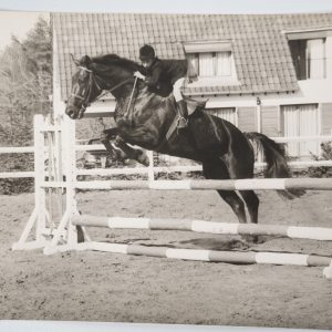 PHOTO Argentique	France	Equitation cheval saut d'obstacles	18X24cm	1970