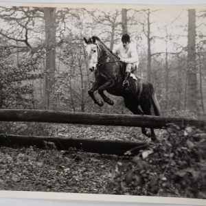 PHOTO Argentique	France	Equitation cheval saut d'obstacles	18X24cm	1970