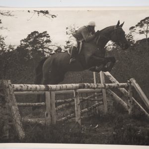 PHOTO Argentique	France	Equitation cheval saut d'obstacles	18X24cm	1970