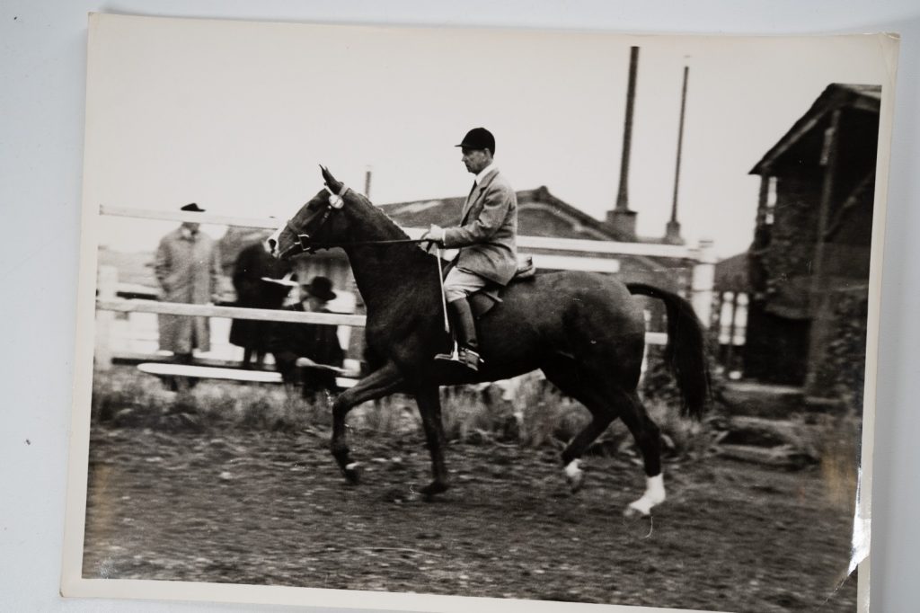 PHOTO Argentique France Equitation cheval saut d'obstacles 18X24cm 1970
