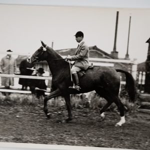 PHOTO Argentique	France	Equitation cheval saut d'obstacles	18X24cm	1970