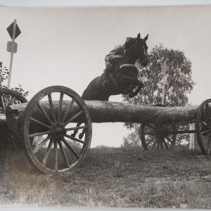 PHOTO Argentique	France	Equitation cheval saut d'obstacles	18X24cm	1970