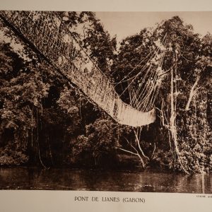 photo Heliogravure 1930 Paysage Afrique Equatoriale GABON PHOTO 16X25cm
