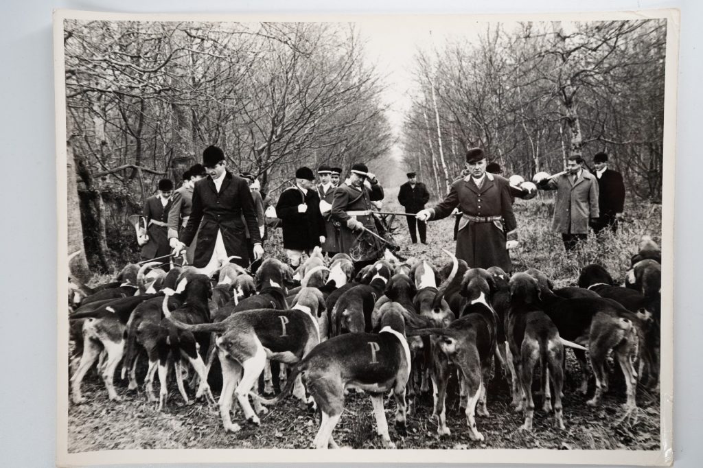 PHOTO Argentique France chasse à courre vénerie cheval 18X24cm 1960
