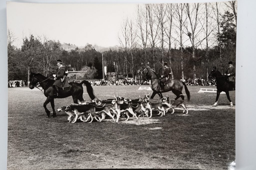 PHOTO Argentique France chasse à courre vénerie cheval 18X24cm 1960