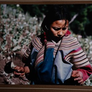 TIRAGE PHOTO Argentique, RC	Asie	Asie Vietnam paysanne	20X25cm	1980