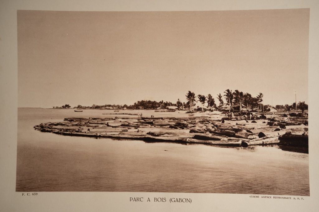 photo Heliogravure 1930 Paysage Afrique Equatoriale GABON PHOTO 16X25cm