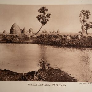 photo Heliogravure 1930 Paysage Afrique Equatoriale CAMEROUN PHOTO 16X25cm