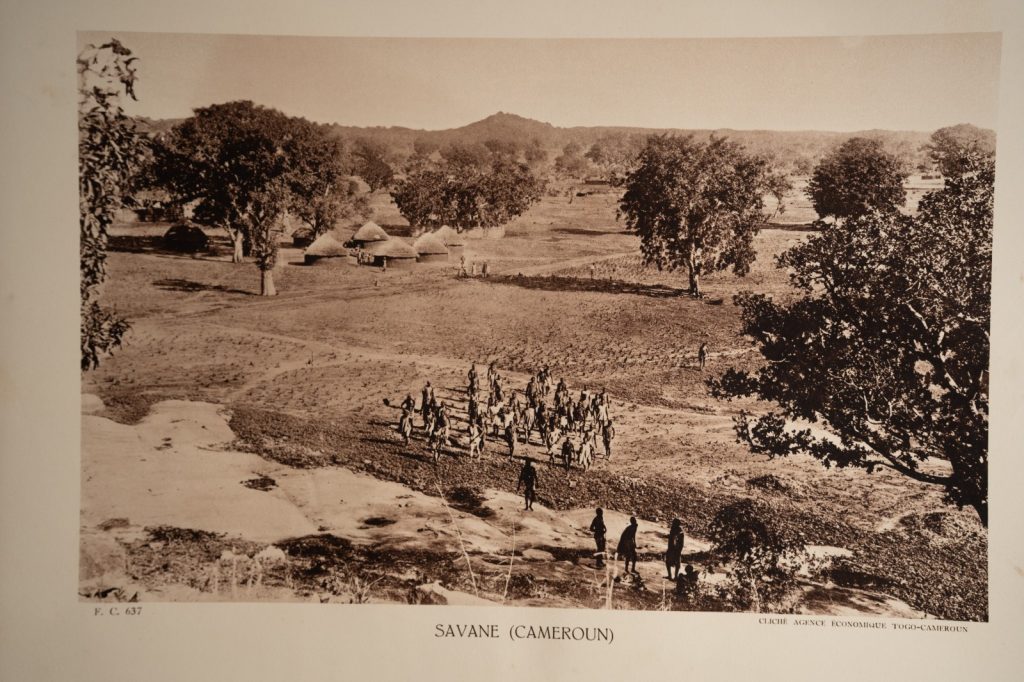 photo Heliogravure 1930 Paysage Afrique Equatoriale CAMEROUN PHOTO 16X25cm