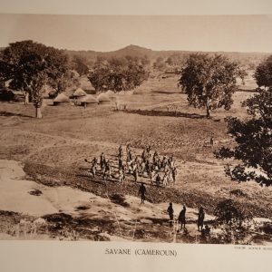 photo Heliogravure 1930 Paysage Afrique Equatoriale CAMEROUN PHOTO 16X25cm