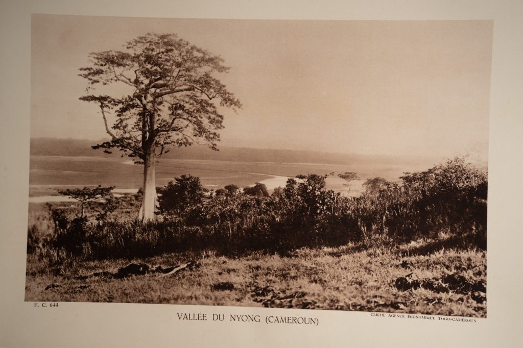 photo Heliogravure 1930 Paysage Afrique Equatoriale CAMEROUN PHOTO 16X25cm