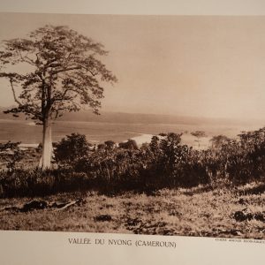 photo Heliogravure 1930 Paysage Afrique Equatoriale CAMEROUN PHOTO 16X25cm