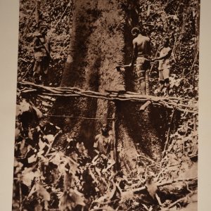 photo Heliogravure 1930 Paysage Afrique Equatoriale CAMEROUN PHOTO 16X25cm