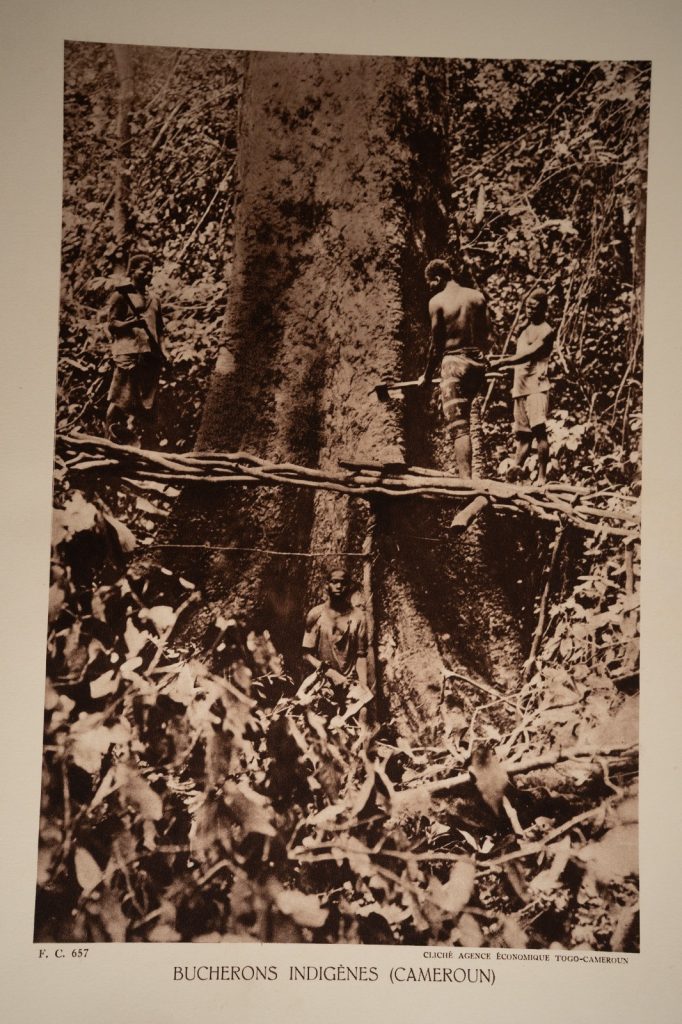 photo Heliogravure 1930 Paysage Afrique Equatoriale CAMEROUN PHOTO 16X25cm
