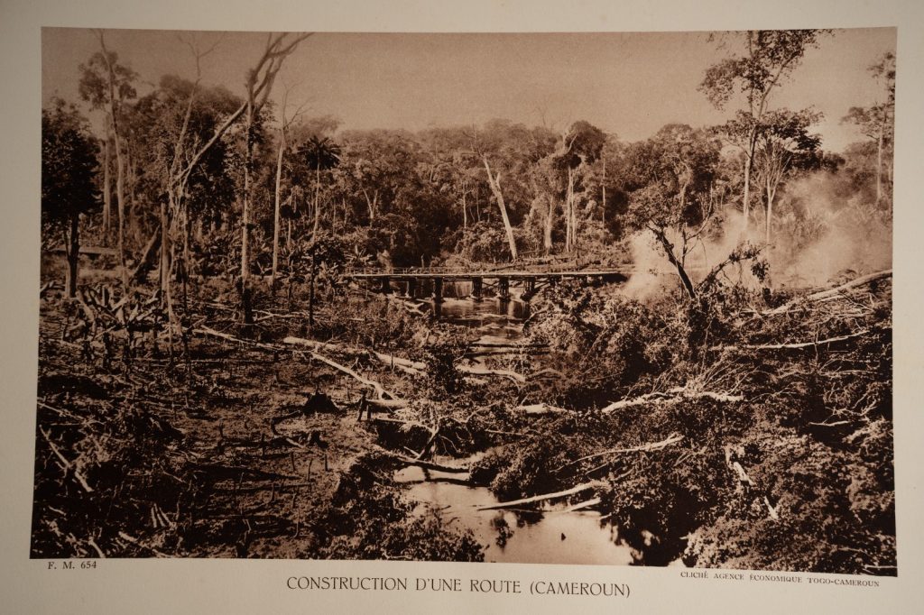 photo Heliogravure 1930 Paysage Afrique Equatoriale CAMEROUN PHOTO 16X25cm