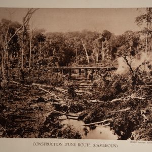 photo Heliogravure 1930 Paysage Afrique Equatoriale CAMEROUN PHOTO 16X25cm