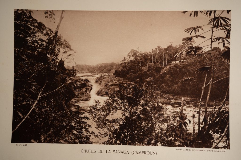 photo Heliogravure 1930 Paysage Afrique Equatoriale CAMEROUN PHOTO 16X25cm