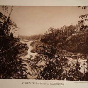 photo Heliogravure 1930 Paysage Afrique Equatoriale CAMEROUN PHOTO 16X25cm