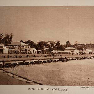 photo Heliogravure 1930 Paysage Afrique Equatoriale CAMEROUN PHOTO 16X25cm