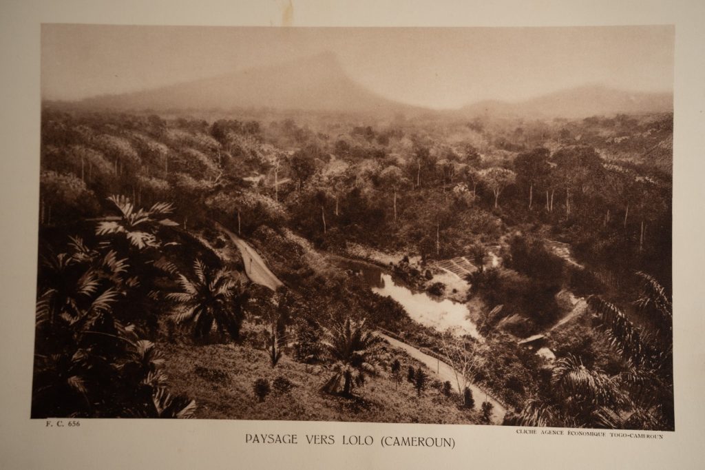 photo Heliogravure 1930 Paysage Afrique Equatoriale CAMEROUN PHOTO 16X25cm