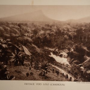 photo Heliogravure 1930 Paysage Afrique Equatoriale CAMEROUN PHOTO 16X25cm