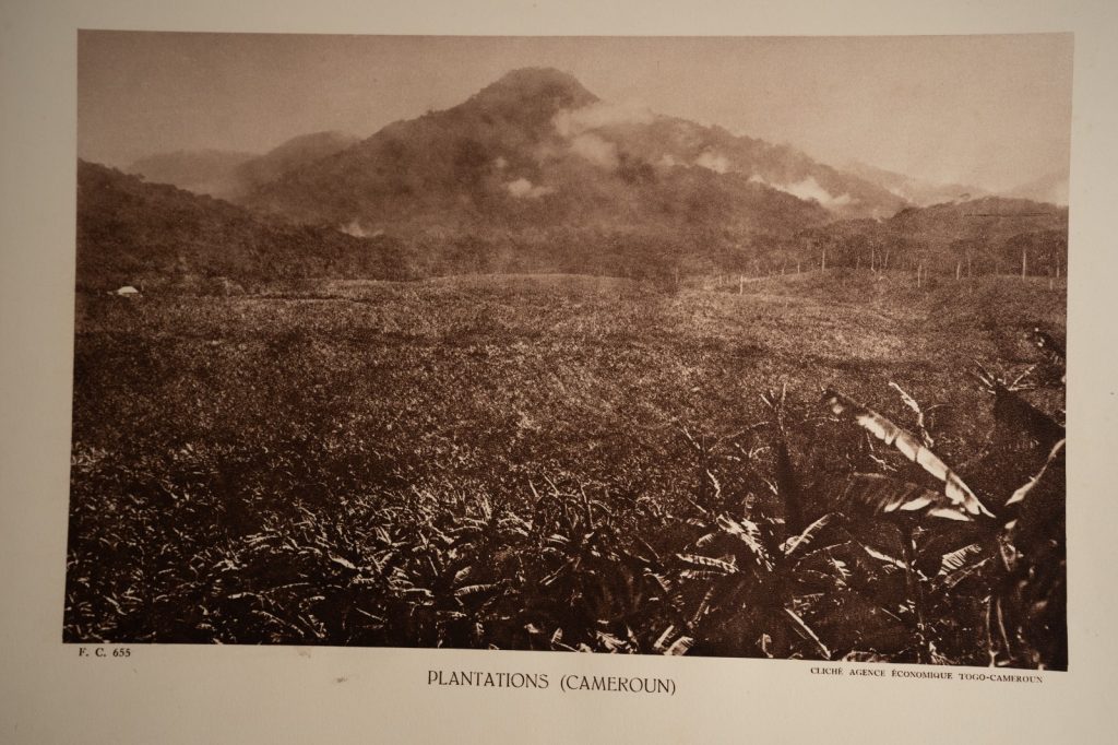 photo Heliogravure 1930 Paysage Afrique Equatoriale CAMEROUN PHOTO 16X25cm