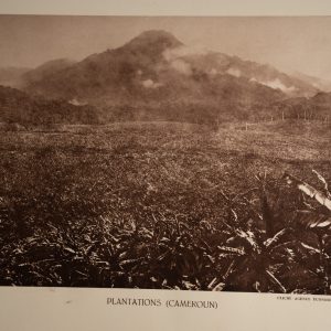 photo Heliogravure 1930 Paysage Afrique Equatoriale CAMEROUN PHOTO 16X25cm