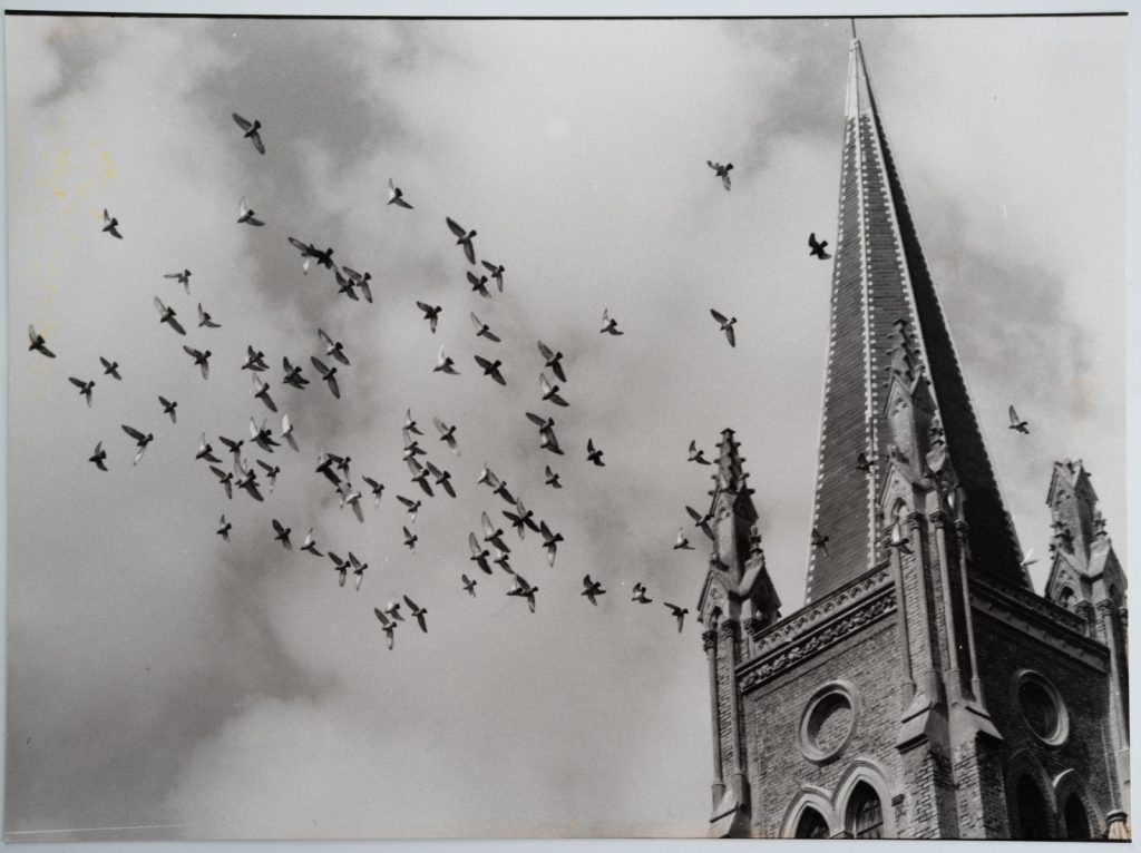 TIRAGE PHOTO Argentique, RC France Paysage scene oiseau 18X24cm 1960