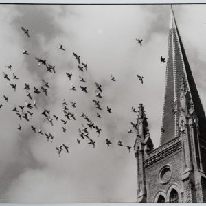 TIRAGE PHOTO  Argentique, RC	France	Paysage scene oiseau	18X24cm	1960