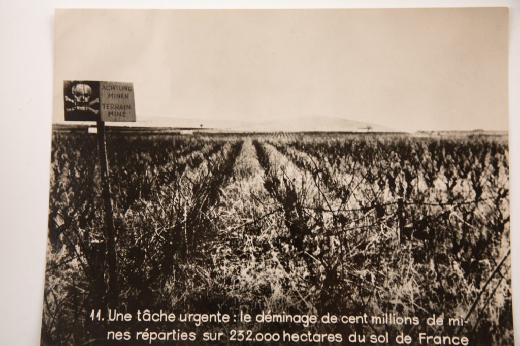 TIRAGE PHOTO argentique ministère de l'information circa 1946 23x18CM TAMPON