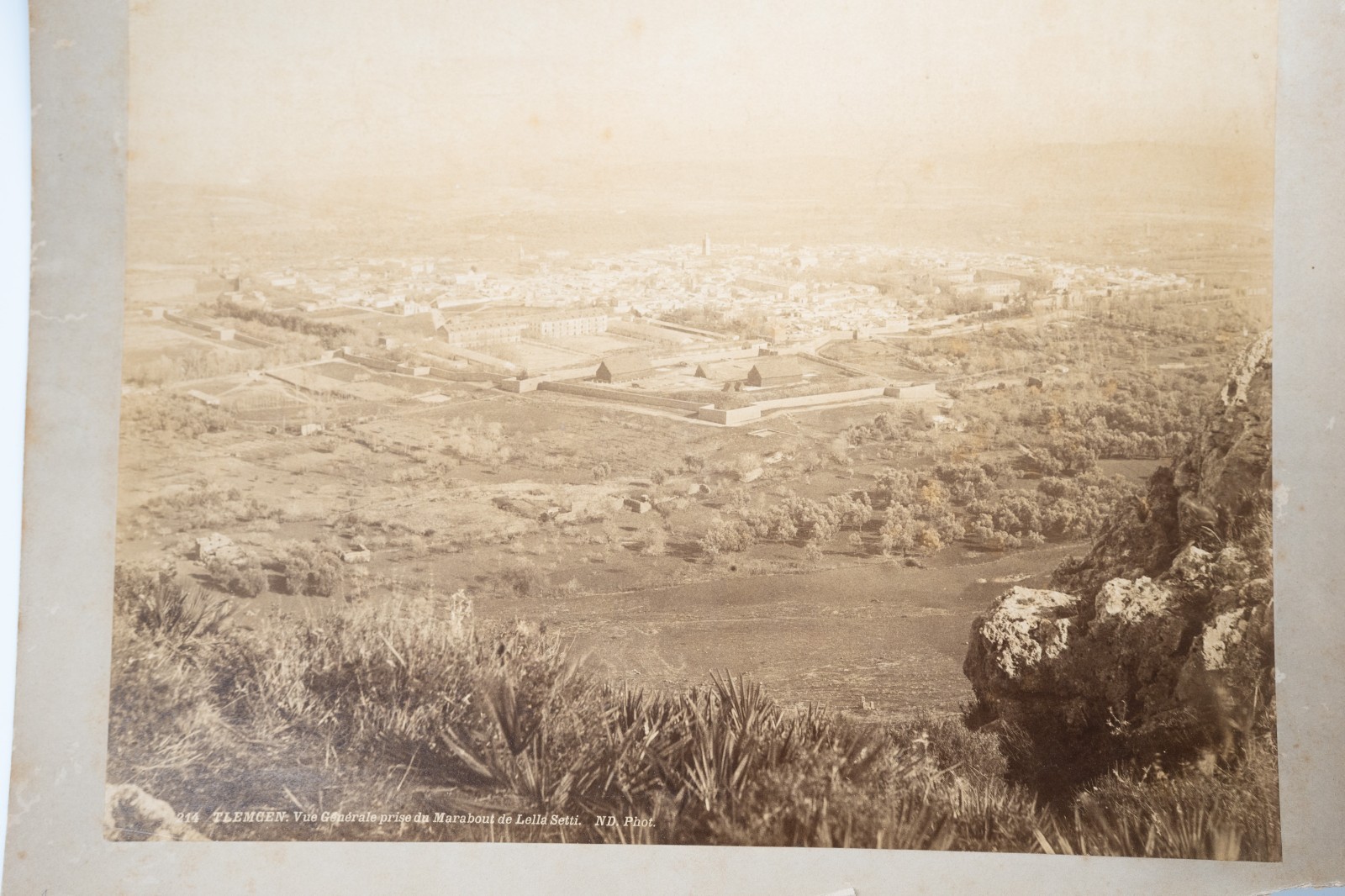 photo Albumine Algérie Tlemcen vue général 22X27cm 1880