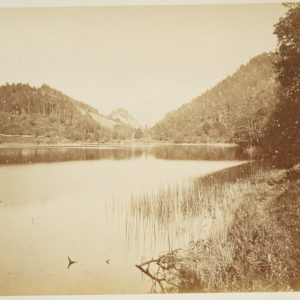 photo Albumine	Allemagne	THUMSEE	18X23cm	1880