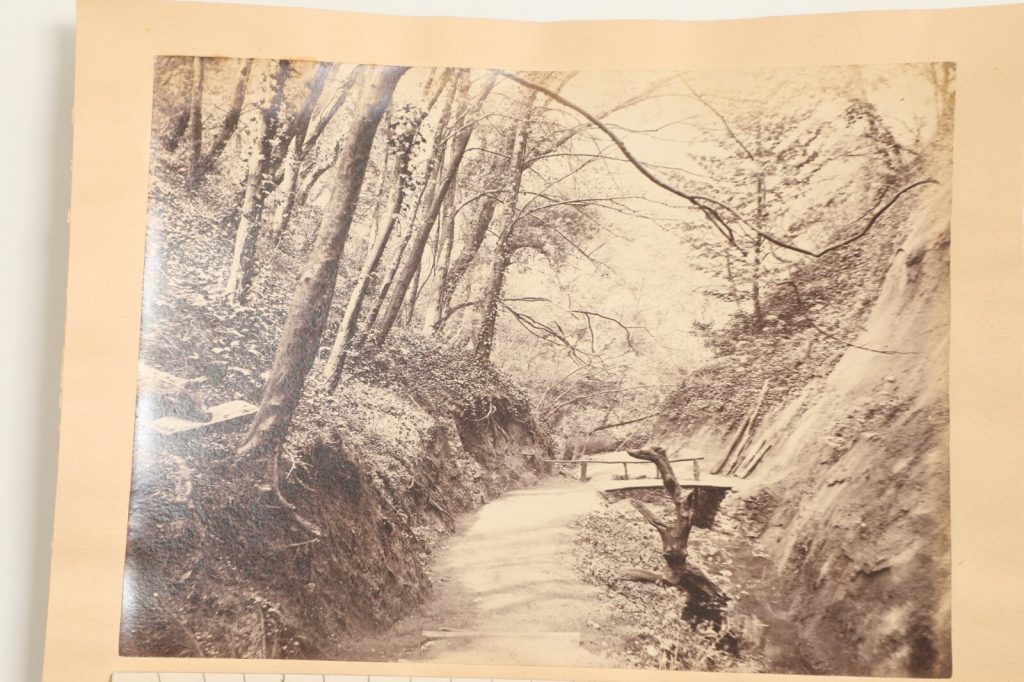 photo albumine  Shanklin Chine, sur l'île de Wight format 15X20CM