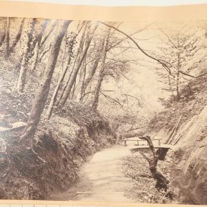 photo albumine  Shanklin Chine, sur l'île de Wight format 15X20CM