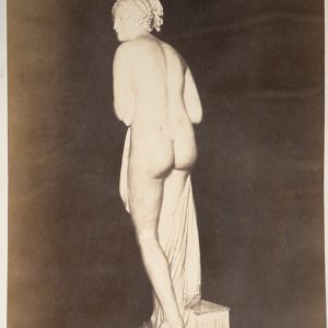 PHOTO Albumine	Italie	Statut de Vénus Florence	22,5X34cm	1880