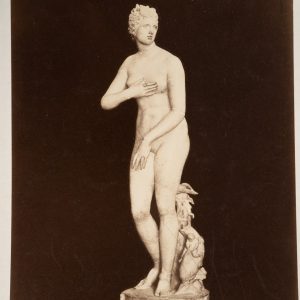 TIRAGE PHOTO Albumine	Italie	FLORENCE STATUE	19X25cm	1880