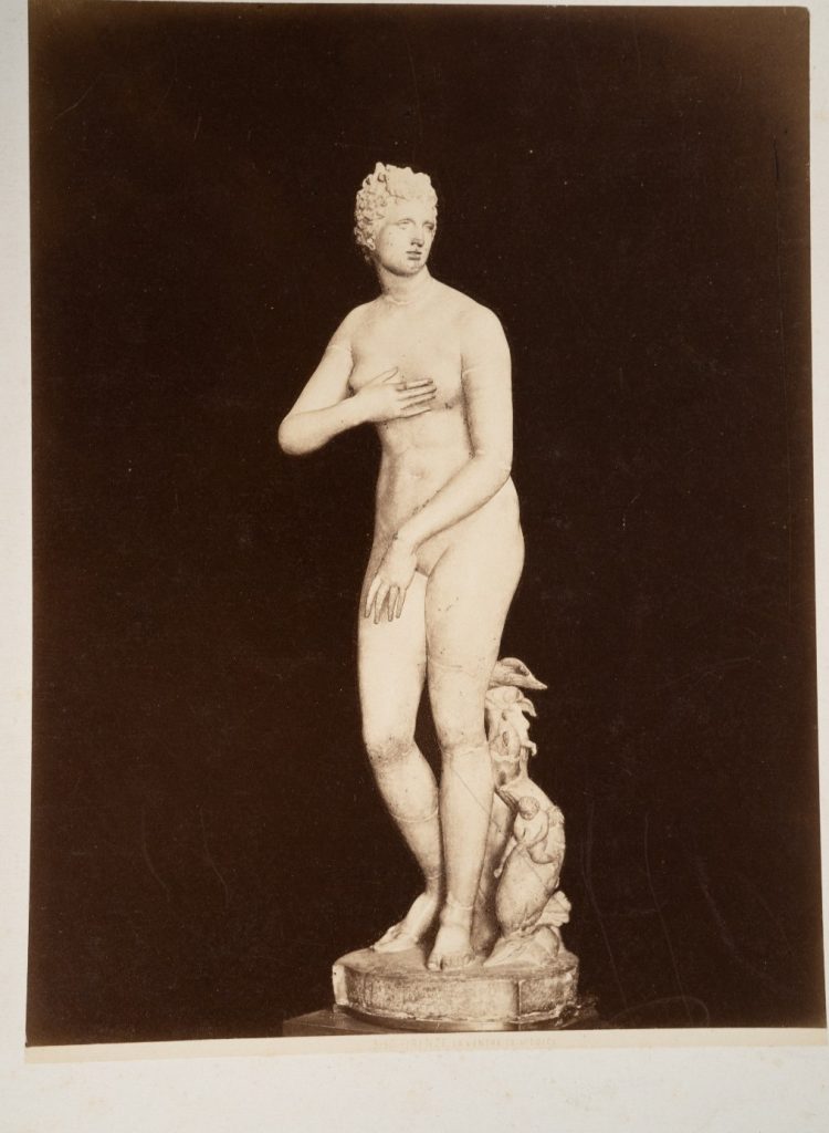 TIRAGE PHOTO Albumine	Italie	FLORENCE STATUE	19X25cm	1880