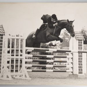 PHOTO Argentique	France	Equitation cheval saut d'obstacles		1970 30X40cm