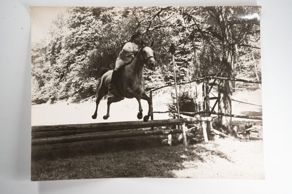 PHOTO Argentique France Equitation cheval saut d'obstacles 1970 30X40cm