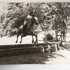 PHOTO Argentique	France	Equitation cheval saut d'obstacles		1970 30X40cm