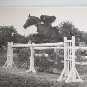 PHOTO Argentique	France	Equitation cheval saut d'obstacles	24X29cm	1970