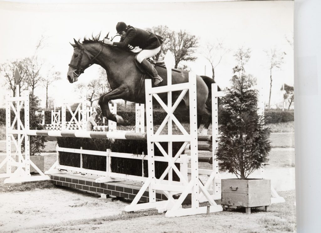 PHOTO Argentique France Equitation cheval saut d'obstacles 18X24cm 1970